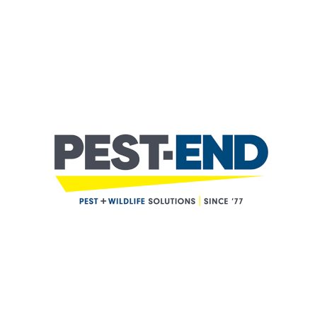Pest-End Rebranding